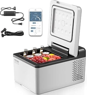 Best 12V Portable Fridges for Overlanding